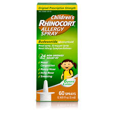 A lot of people use nasal sprays, but a lot of people use nasal sprays incorrectly. Children S Rhinocort Allergy Nasal Spray 24 Hour Relief 60 Spray Walmart Com Walmart Com