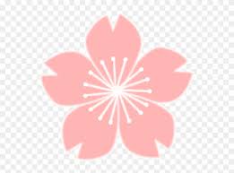 Maybe you would like to learn more about one of these? Good Cherry Blossom Drawing Flower Cc0 Drawn Cherry Blossom Png Clipart 4873887 Pinclipart