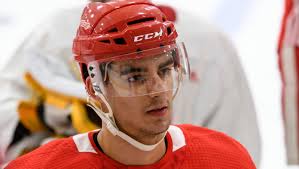 2018 Red Wings development camp, June 26