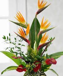 Pin On Floral Design