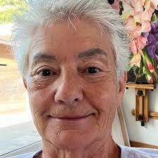 Police said 27-year-old Damien Jones parked a stolen vehicle near an  officer in the Anderson Walmart parking lot