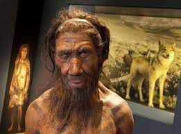 Some experts have argued that denisovans are an entirely new species of our genus, homo, but others think that they are merely eastern neanderthals. Modern Humans Interbred With Mysterious Denisovans Indy100 Indy100
