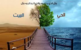 مدونة ستيرن ليزن ذكر الله فوائد ذكرالله الاستغفار التسبيح فضل ذكرالله