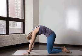 Cat pose often is combined with cow pose (bitilasana) to lengthen and open up your spine. Pregnancy Yoga Poses 12 Poses For Back Pain Tight Hips And More