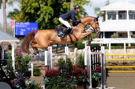 British showjumper ben maher will go for gold in tokyo on a horse he imagines feels like driving a ferrari. Ben Maher Home Facebook
