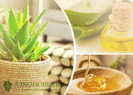 как сделать лекарство из алоэ и меда для желудка Kagor Aloe Med Recept Ot Raka Rybolovnyj Karavan