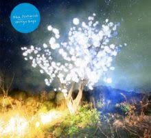 29 janvier 2019 à 18h00 par julien claude penegry. Les Sorties D Albums Pop Rock Electro Rap Jazz Du 29 Janvier 2021 Benzine Magazine