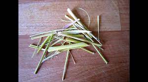 You can use lemongrass whole, sliced or pounded to a paste. Lemongrass How To Dry And Store Youtube