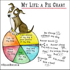 my life a pie chart red and howling