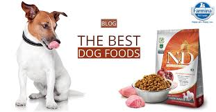 2021 reviews, recalls & coupons. Farmina Pet Foods Farmina Blog Pet Nutrition Health The Best Dog Foods