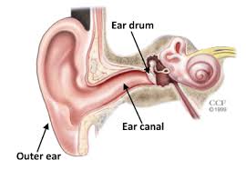 Image result for Acute Otitis Externa