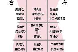 每日健康health 肚子痛時好時壞 九宮格腹痛表 一秒找出腹痛原因 這裡痛 最致命 每日健康health my favorite things