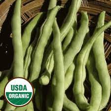 Check spelling or type a new query. Organic Kentucky Wonder Pole Garden Bean Seeds Everwilde Farms