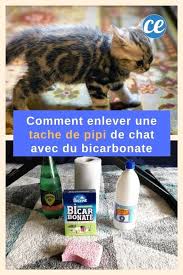 Epingle Sur Menage Nettoyage Et Entretien