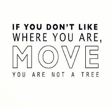 You Are Not A Tree Change Your Life Motivational Quotes Words Quotes Quotations Life Quotes