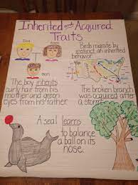 Inherited And Acquired Traits Anchor Chart I Like The Use Of Different Vocabulary Terms Science Anchor Charts Third Grade Science Life Science