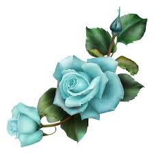 Rose Page 10 Liked On Polyvore Featuring Flowers Decorative Roses And Backgrounds Flower Drawing Flower Painting Digital Flowers