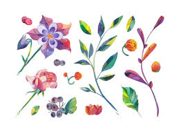 New users enjoy 60% off. Watercolor Flowers Designs Themes Templates And Downloadable Graphic Elements On Dribbble