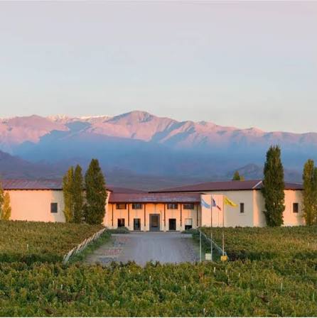 Cuvelier Los Andes High Altitude Vineyards