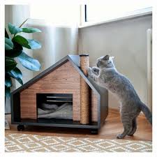 Having Fun With My Home Petture Saturdayfever Terrace Design Productdesign Petfurniture Cat Pet 2020 Yatak Mobilyasi Kedi Evi Mobilya Fikirleri