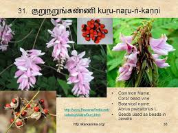 Check spelling or type a new query. 99 Tamil Flowers Kurunjipaatu Flowers 31 40 à®•à®± à®• à®¨ à®± à®•
