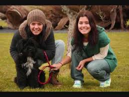 Domingo, 10 de janeiro de 2016. Joana Castro E Mafalda Luis De Castro Wmv Youtube