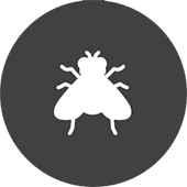 Without the hard work and dedication of our team, we wouldn't be where we are today. Home Pest Control And Defense Hometeam Pest Defense