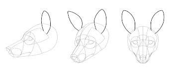 I'm new, i decided to show my first training results here. Sketchbook Original How To Draw Foxes Monika Zagrobelna
