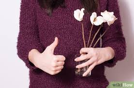 Then follow our bouquet care tips and see the beautiful floral arrangement diys we've found for you! How To Preserve Cut Flowers Longer With Glycerin 8 Steps