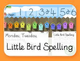 Little Bird Spelling Spelling Practice Spelling Tricky Words