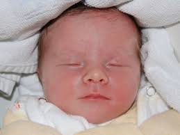 Die HNA-Babychronik: Neugeborene im August 2010