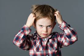 Children also swap hats, scarves, brushes, and earphones, all of which can carry lice. Does Shaving Your Head Get Rid Of Lice Lice Aunties