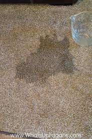 Stains on the top of the fibers remove easier than stains that soaked through the bottom of the carpet. The Surprisingly Easy Chemical Free Way To Remove Carpet Stains