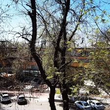 Lawrence Rui Dang, PhD, FRSA (@lawrencedang1)