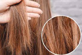Keratin Bakimi Nedir Evde Nasil Yapilir Gebe Com