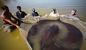 Videos de Emily Montaño