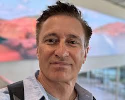 Why are fewer cruise ships visiting New Zealand?