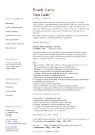 Software team leader role is responsible for software, reporting, architecture, design, java, credit. Team Leader Cv Sample