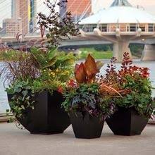 Repotting gives the plant a proportion of fresh compost to root into and this will provide water and nutrients to promote new growth. Garden Planters Pots Urns Garden Pot Garden Flower Pot Trough Planter Flower Planter Garden Box In Kandivali East Mumbai Shrih Group Id 10444982812