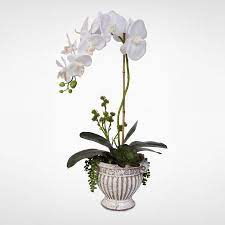 White Silk Orchid Arrangement With Succulents In A Ceramic Pot Walmart Com Silk Orchids Silk Orchids Arrangements Orchid Arrangements
