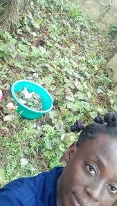 Anyone have tricks to farm faster? Yesterday he started to get together and  I barely have this