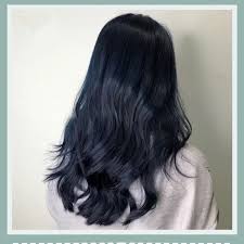 All you need for a quality weekend: Fog Blue Black Hair Dye Cream 2019 Female Color Pure Web Celebrity Bubble Foam Plant Ink Blue Gray Shopee Singapore
