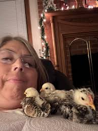 New sarama momma ! What's your favorite thing to do with your house  saramas? What color do you think my little flock will be