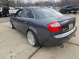 Image result for Dolphin Gray 2004 S4