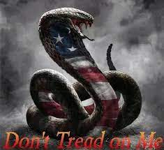 4.8 out of 5 stars based on 42 product ratings(42). 53 Don T Tread On Me Gadsden Flags Ideas In 2021 Dont Tread On Me Gadsden Flag Gadsden