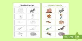 Both organisms use each other for a variety of reasons, which. Mutualism Match Up Activity