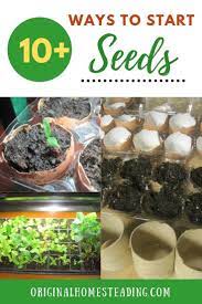 Garden Seed Starting Ideas 10 Ways You Must Try Organic Vegetable Garden Seed Starting Growing Seeds