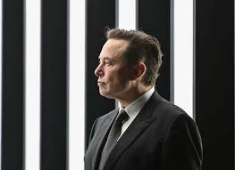Grandiose visions and arrested development: a new biography considers the  contradictory life of Elon Musk