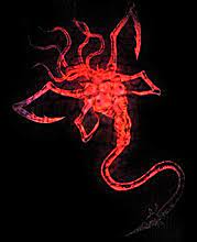 Their name is derived from plaga, the spanish word for plague. Las Plagas Capcom Database Fandom
