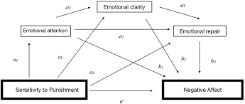 Frontiers Mediating Effect Of Trait Emotional Intelligence Between The Behavioral Activation System Bas Behavioral Inhibition System Bis And Positive And Negative Affect Psychology